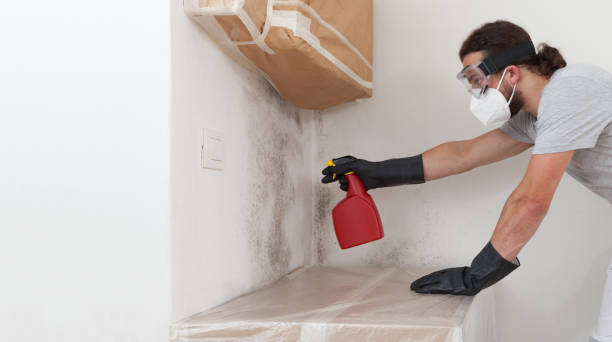 Professional Mold Testing technician working in Canton, IL